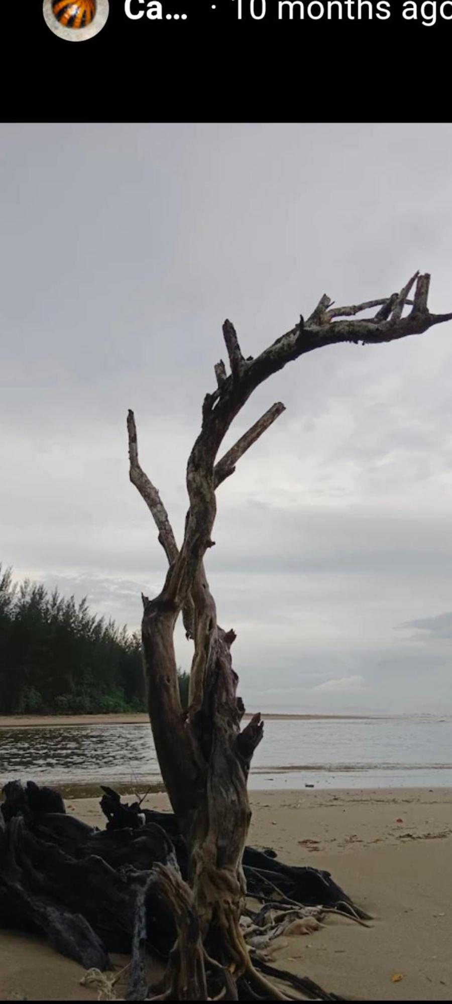 The Mangrove Villa Sematan Kültér fotó