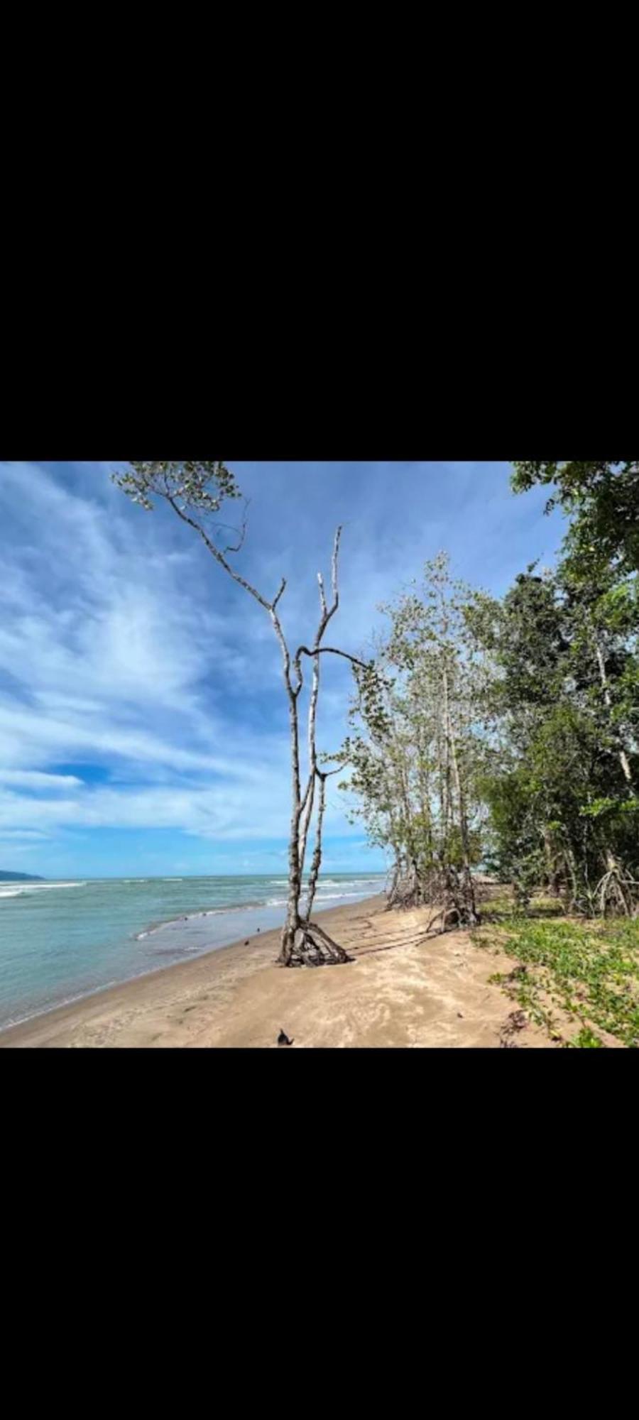 The Mangrove Villa Sematan Kültér fotó